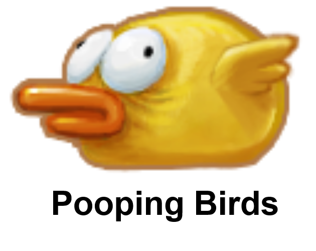 Pooping Birds