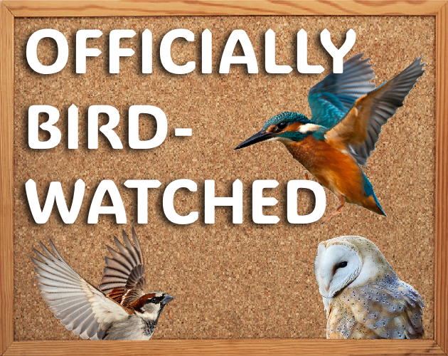 Officially Bird Watched