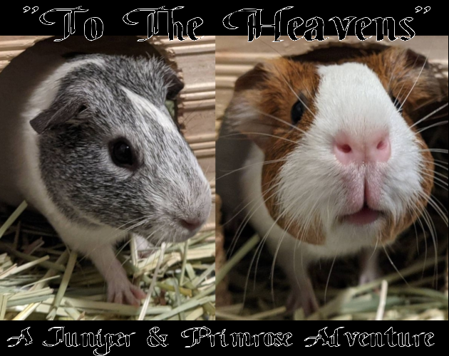 To the Heavens: A Juniper and Primrose Adventure