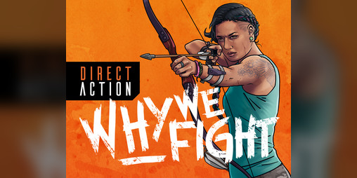 Cover image for Why We Fight: Direct Action