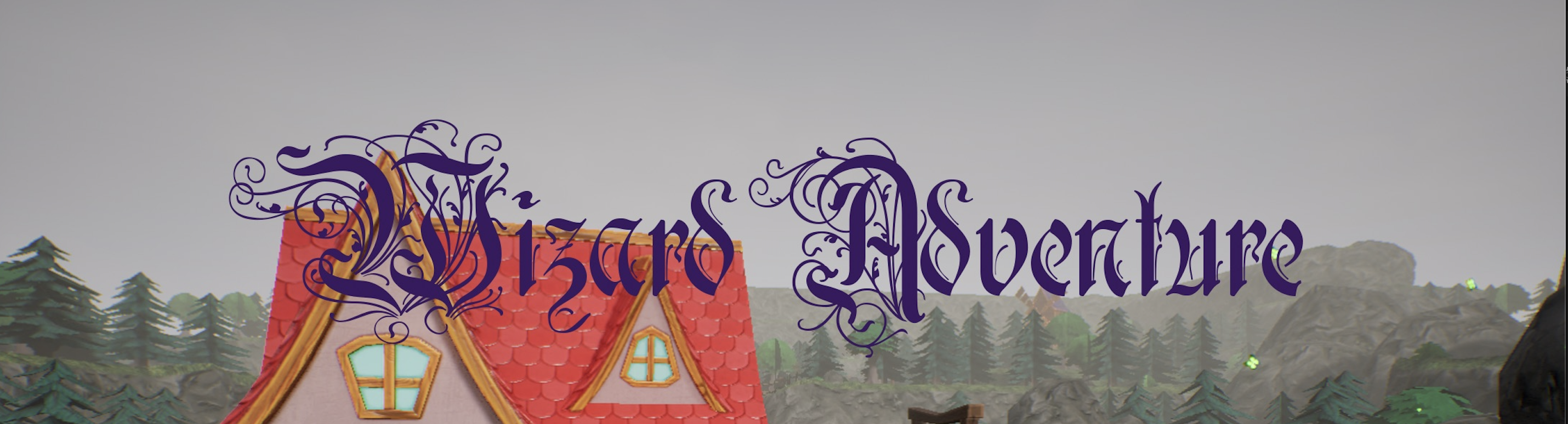 Wizard Adventure