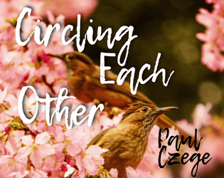 Circling Each Other   - The Story Of a Relationship On Its Own Terms 