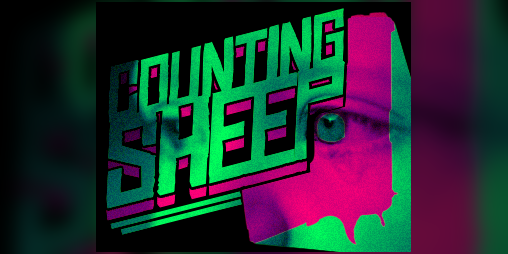 Cover image for Counting Sheep