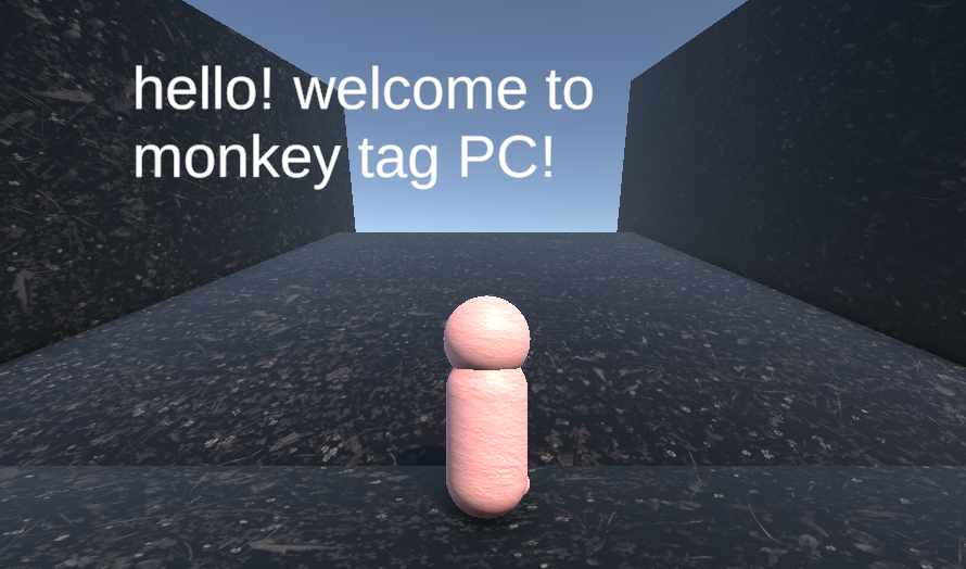What the game looks like