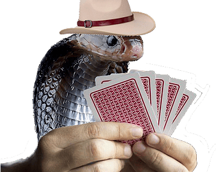 Deck of snek