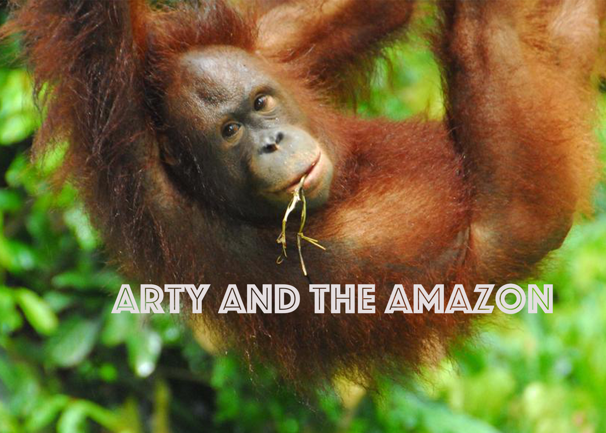 Arty and the Amazon