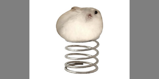 Cover image for Desktop HamSpring