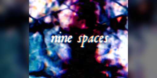 Cover image for Nine Spaces