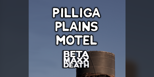 Cover image for Pilliga Plains Motel