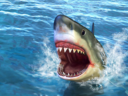 Cover image for fish game