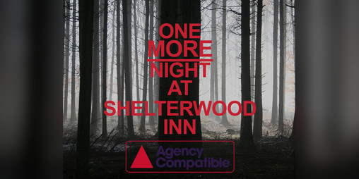 Cover image for One MORE Night at Shelterwood Inn