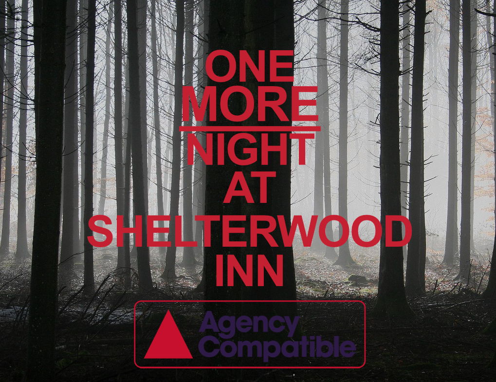 Cover image for One MORE Night at Shelterwood Inn