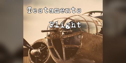 Cover image for Testaments Flight
