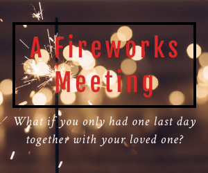 Cover image for A Fireworks Meeting