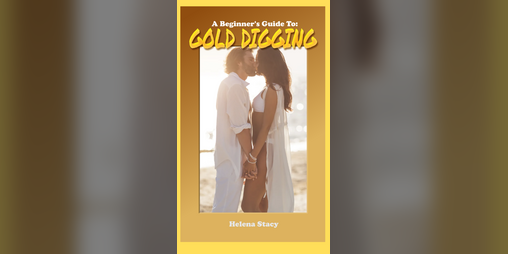 Cover image for A Beginner's Guide to Gold Digging