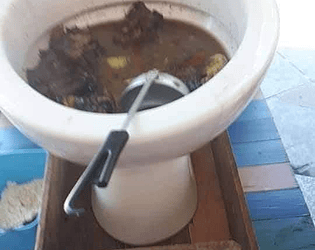 soup 4: SOUPer adventures (again)