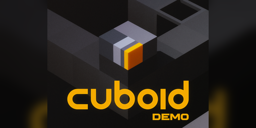Cover image for CUBOID demo