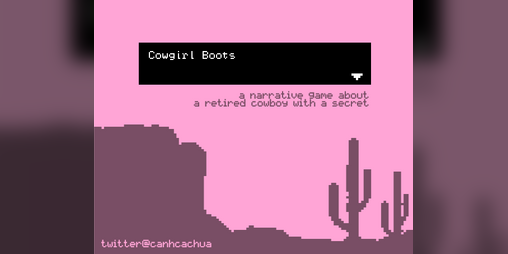 Cover image for Cowgirl Boots