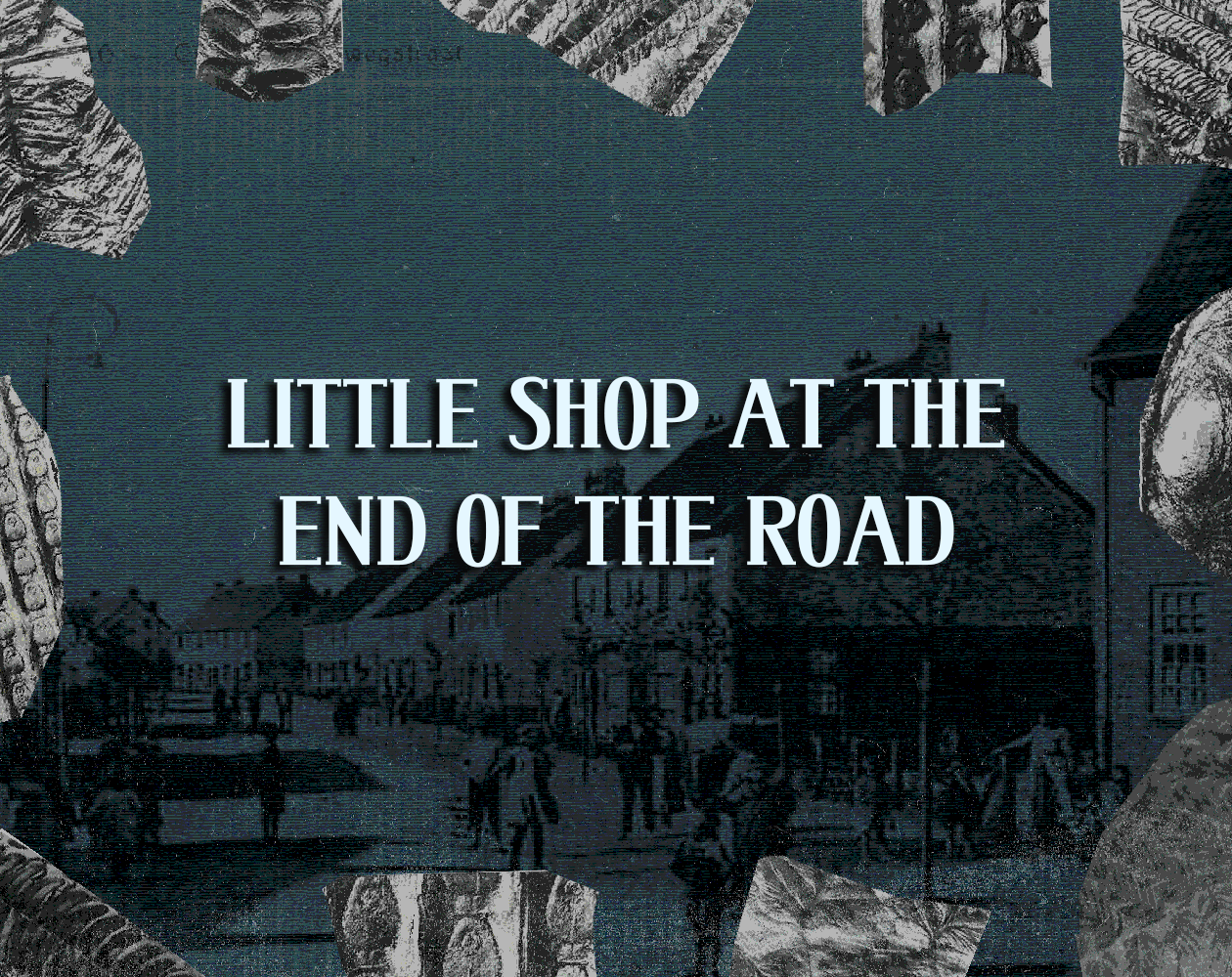 Cover image for little shop at the end of the road