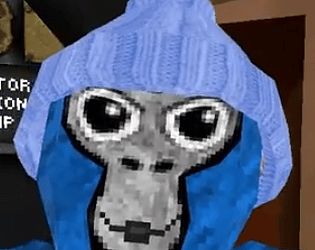 Project Meep