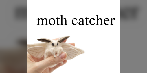 Cover image for Moth Catcher
