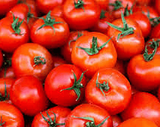 Collect All Tomatoes!!! game thumbnail