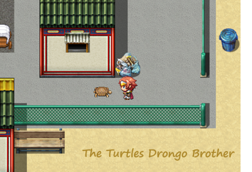 Cover image for The Turtle's Drongo Brother