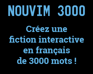[FR] Nouvim 3000 numéro 8 (jeux textuels)