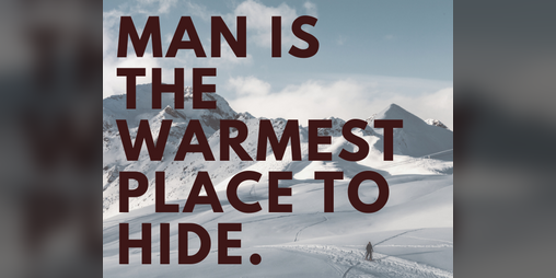 Cover image for Man is the Warmest Place to Hide
