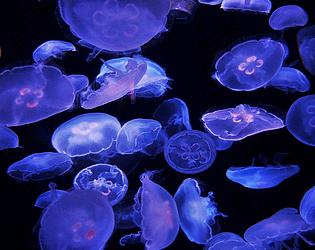 Underwater Perils