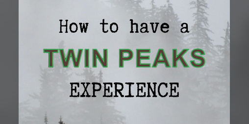 Cover image for Twin Peaks Experience