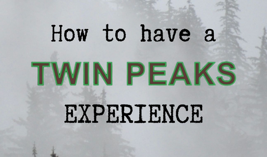 Cover image for Twin Peaks Experience