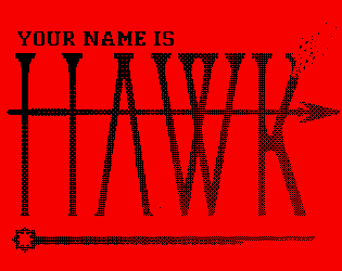 Cover image for Your Name is HAWK