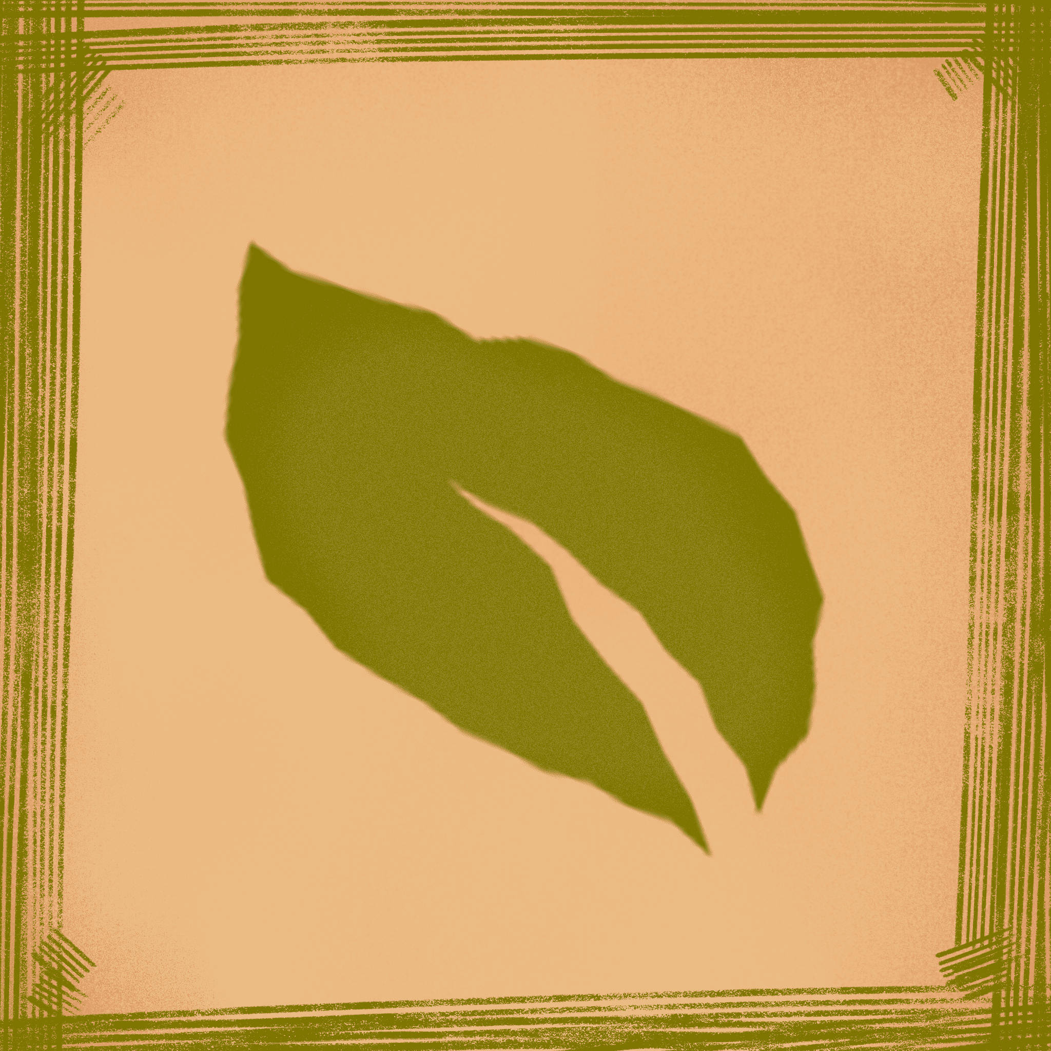 Cover image for The Forest Remembers