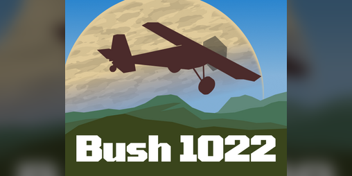 Cover image for Bush 1022