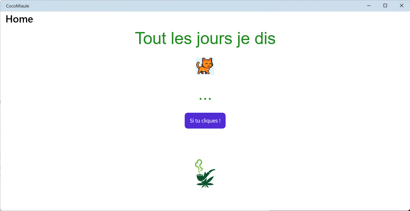 CocoMiaule, le chat foncedé