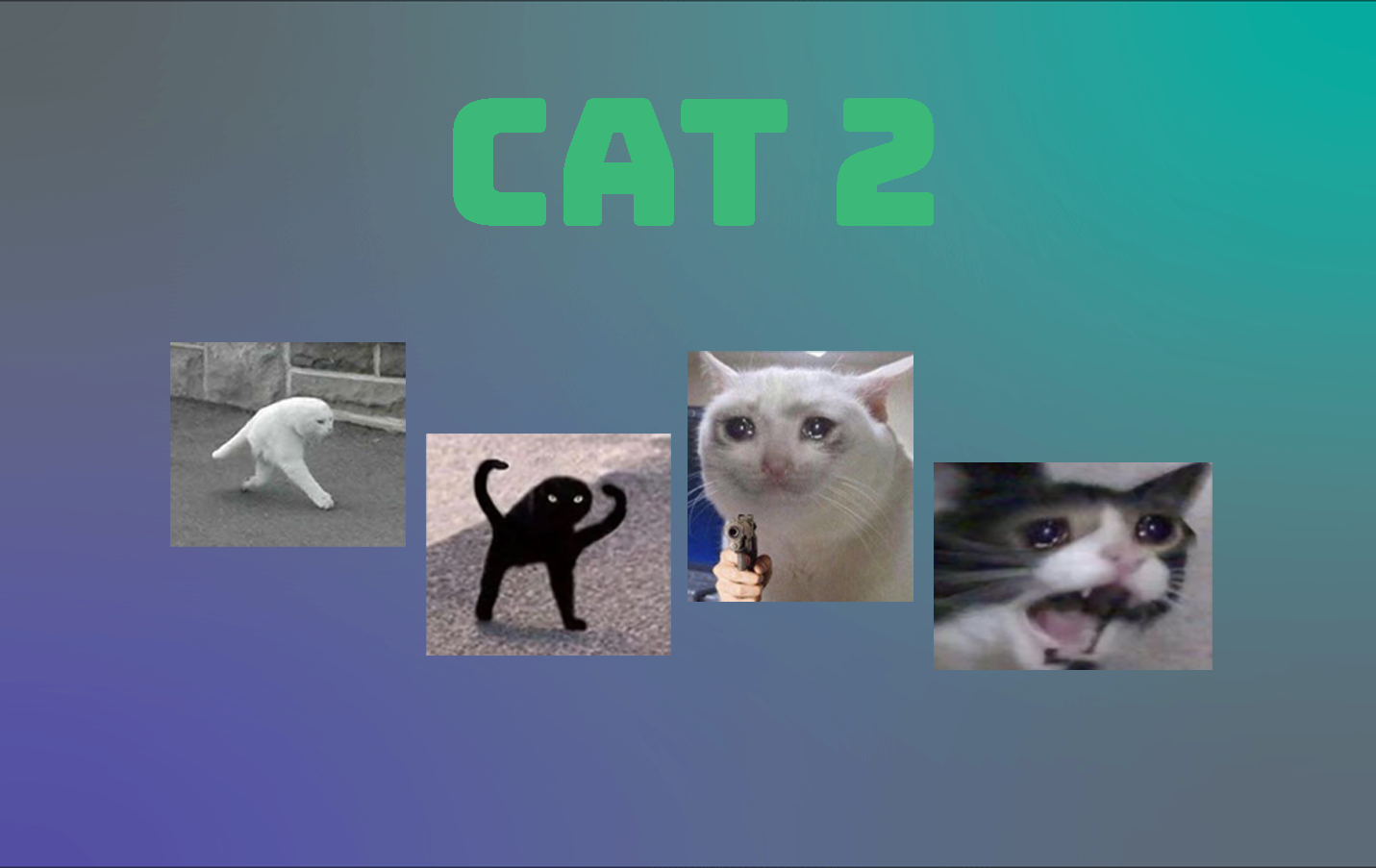 Cat 2