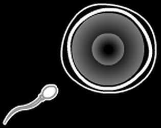 Sperm Rush