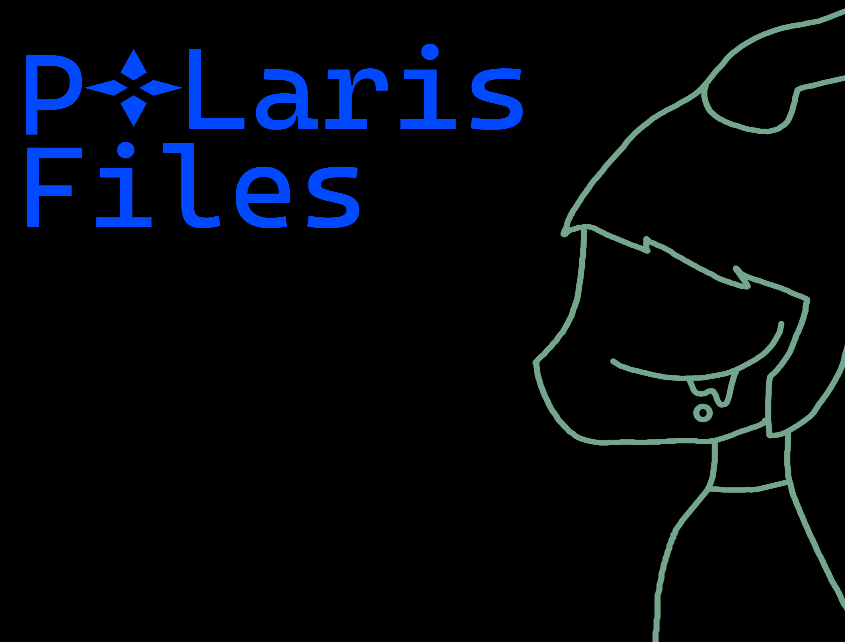Cover image for Polaris Files