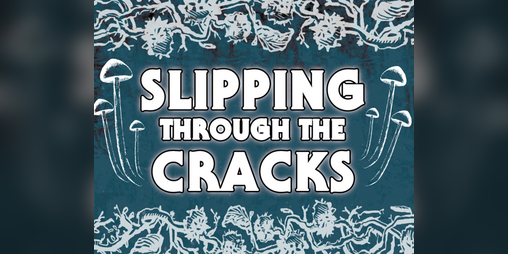 Cover image for Slipping through the Cracks