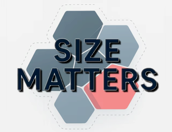 Cover image for SIZE MATTERS