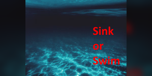 Cover image for Sink or Swim