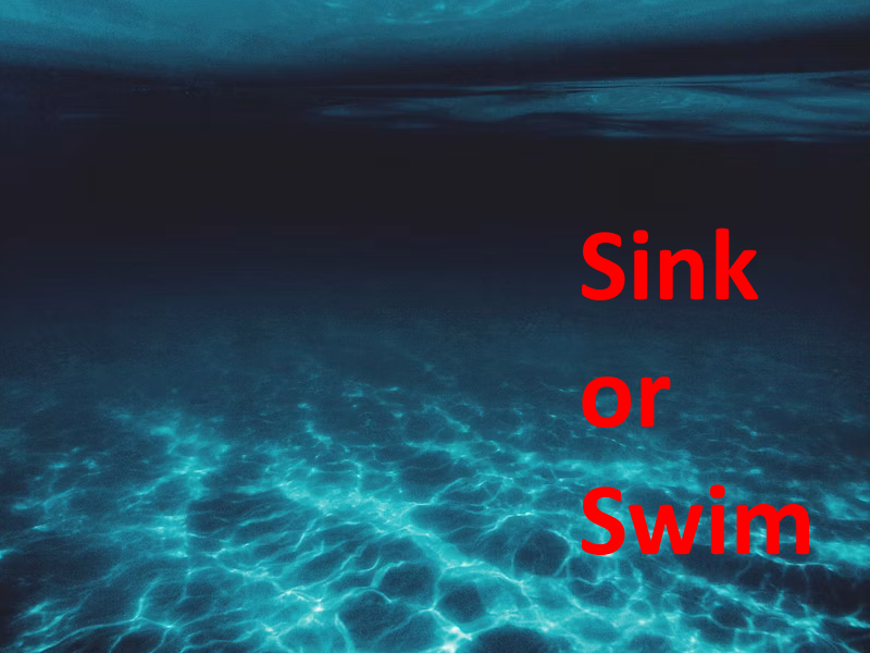 Cover image for Sink or Swim