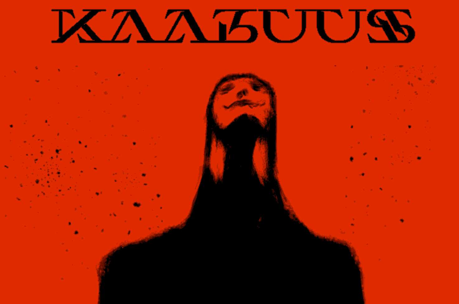 Cover image for Kaabuus