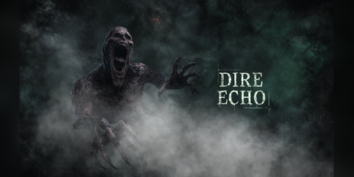 Cover image for DIRE ECHO