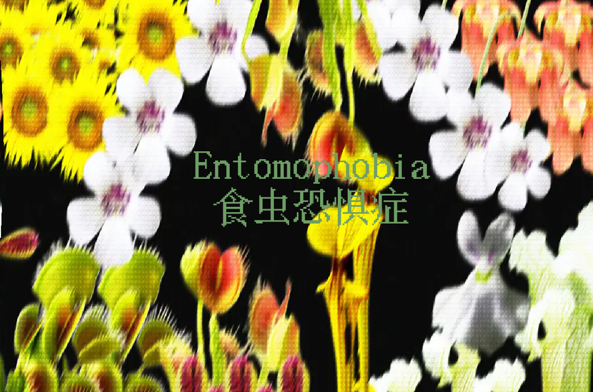 Cover image for Entomophobia