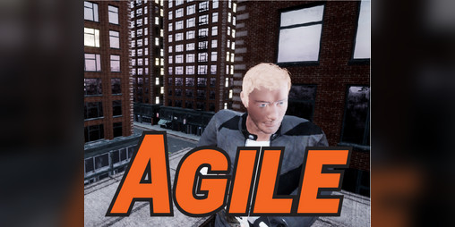 Cover image for Agile