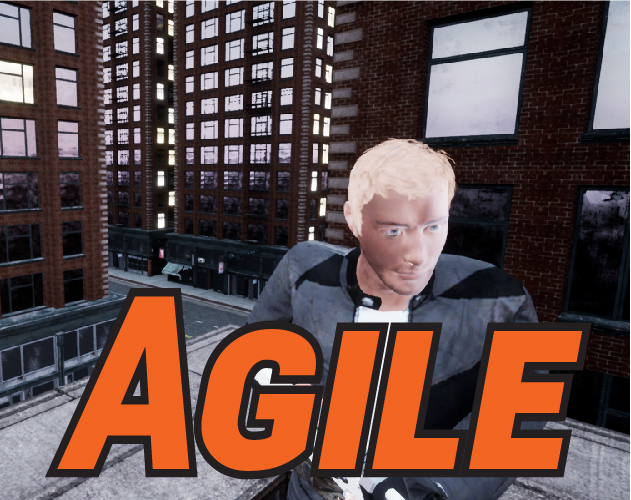Cover image for Agile