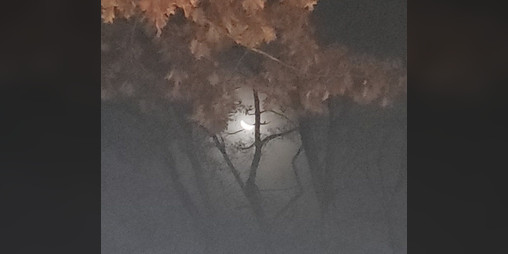 Cover image for A Practical Guide to the Care & Nurturing of Moon-spirits Lost, and their Safe Return