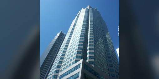 Cover image for The Ladder